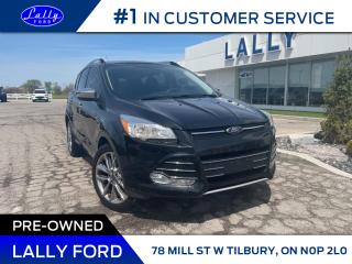 Used 2015 Ford Escape SE, AWD, Nav, One Owner! for sale in Tilbury, ON
