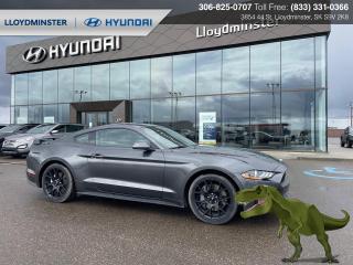 Used 2019 Ford Mustang EcoBoost for sale in Lloydminster, SK