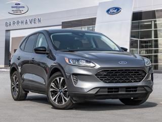 Used 2021 Ford Escape SE Hybrid for sale in Ottawa, ON