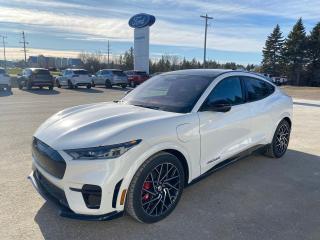 2022 Ford Mustang Mach-E GT Performance Edition AWD Photo