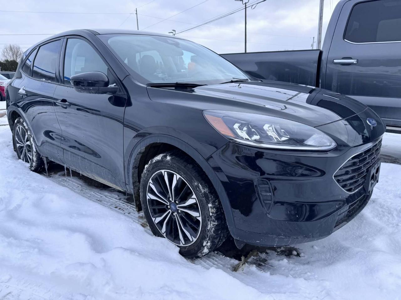 2022 Ford Escape 4dr SE Photo5