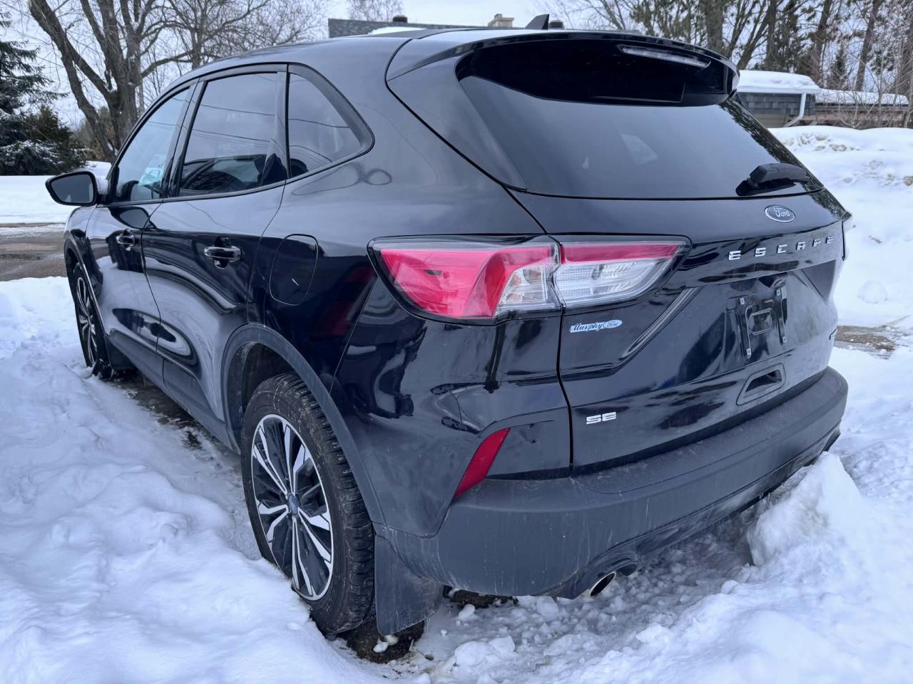 2022 Ford Escape 4dr SE Photo