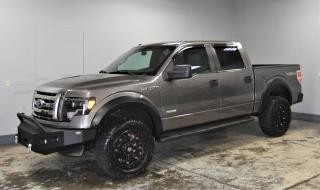 Used 2012 Ford F-150 XLT for sale in Kitchener, ON