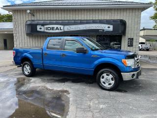 Used 2010 Ford F-150 XLT for sale in Mount Brydges, ON