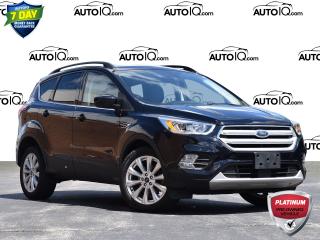 Used 2019 Ford Escape ONE OWNER | CLEAN CARFAX | SEL for sale in Waterloo, ON