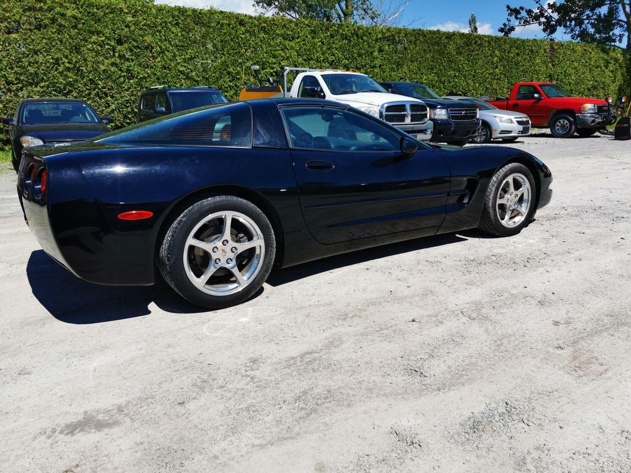 2003 Chevrolet Corvette Only 3960Km, Removable Glass Top, 50th Anniversary - Photo #5