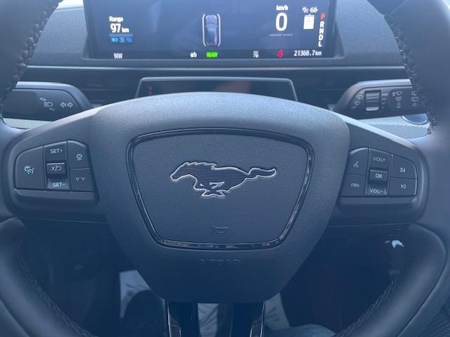 2022 Ford Mustang Mach-E California Route 1 Photo5