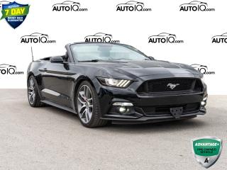 Used 2016 Ford Mustang GT Premium 5.0L V8!! NAVIGATION!! for sale in Innisfil, ON