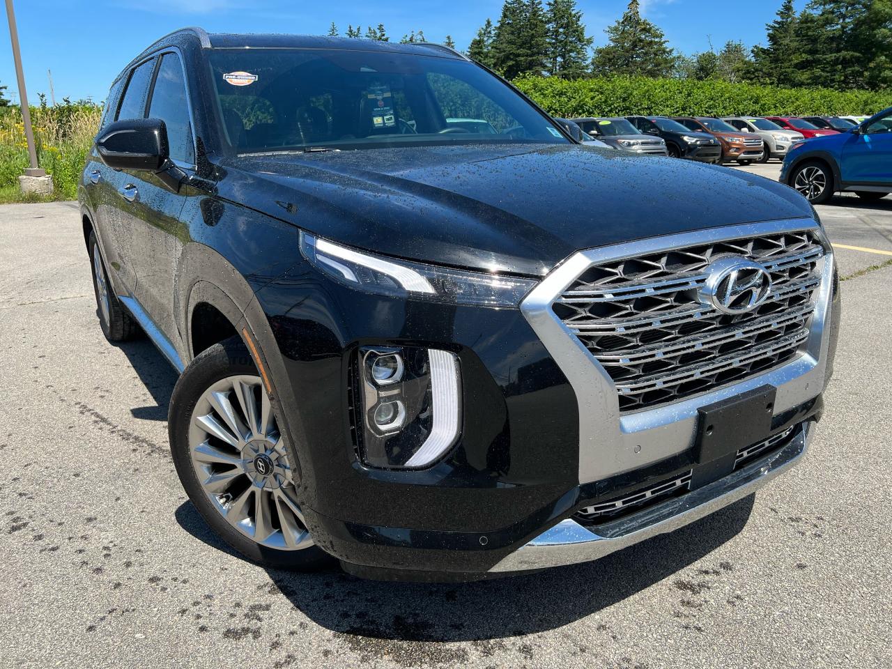 2020 Hyundai PALISADE ULTIMATE Photo25