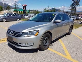 2013 Volkswagen Passat 2.0L TDI SE w/Sunroof & Nav - Photo #3