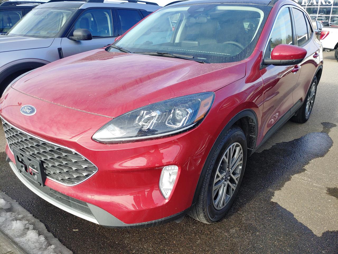 2022 Ford Escape 4DR SEL