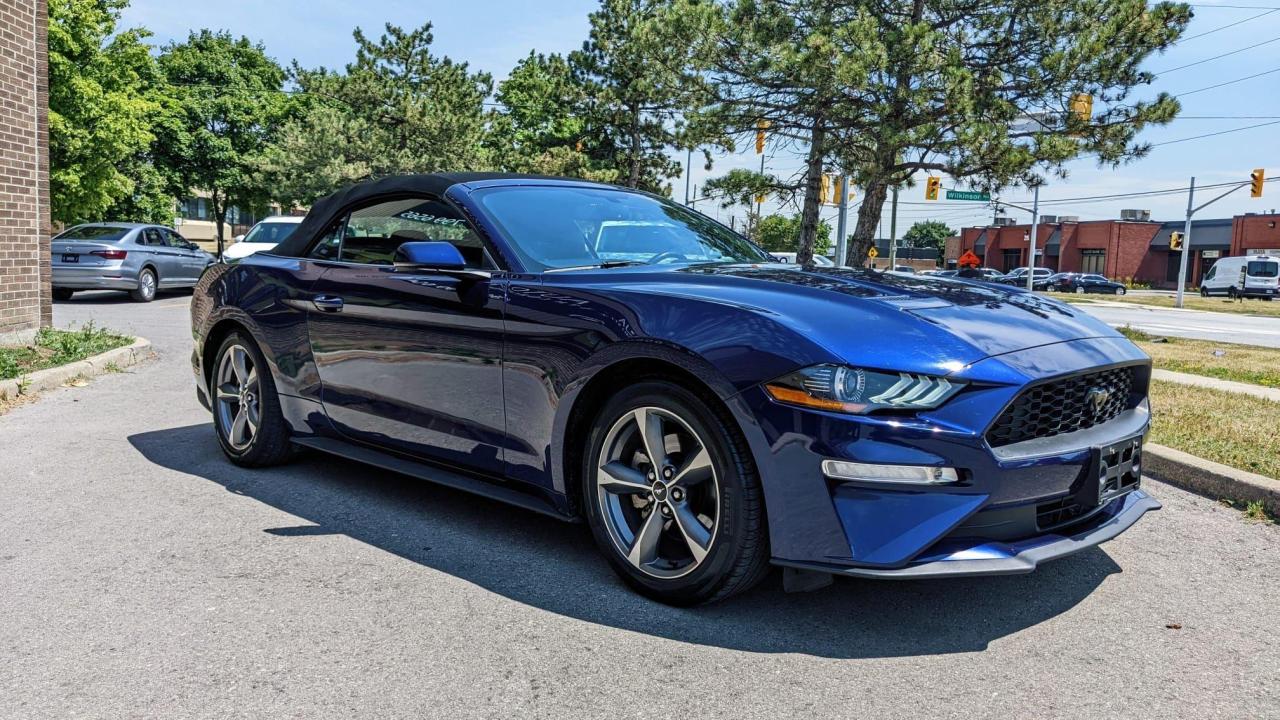 2019 Ford Mustang EcoBoost Premium Convertible Photo3