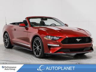 Used 2021 Ford Mustang EcoBoost, Convertible, Back Up Cam, Remote Start! for sale in Brampton, ON
