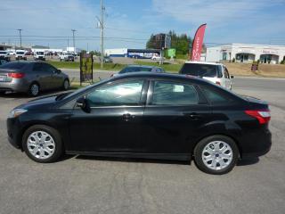 2014 Ford Focus SE - Photo #7