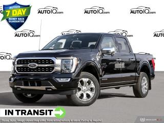 New 2022 Ford F-150 PLATINUM for sale in Kitchener, ON