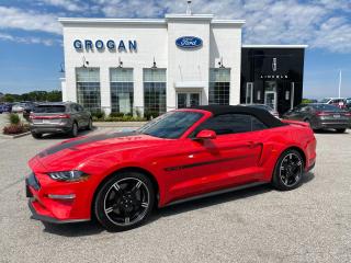 Used 2021 Ford Mustang GT Premium for sale in Watford, ON