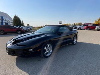 2002 Trans Am WS6 convertible. Ram Air LS1 350 engine with 6 speed manual transmission. One owner always shaded. Call for details.