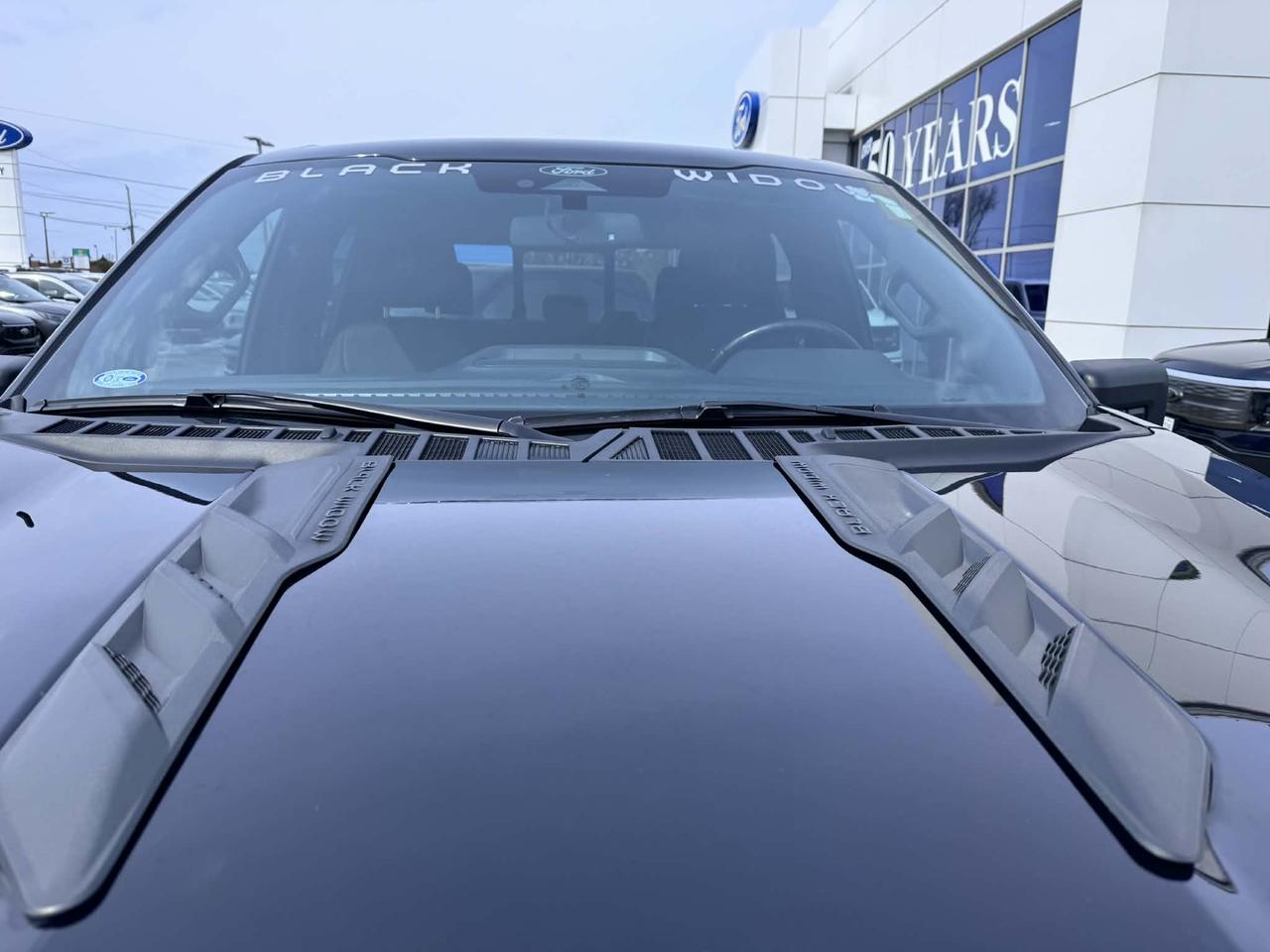 2022 Ford F-150 XLT Photo