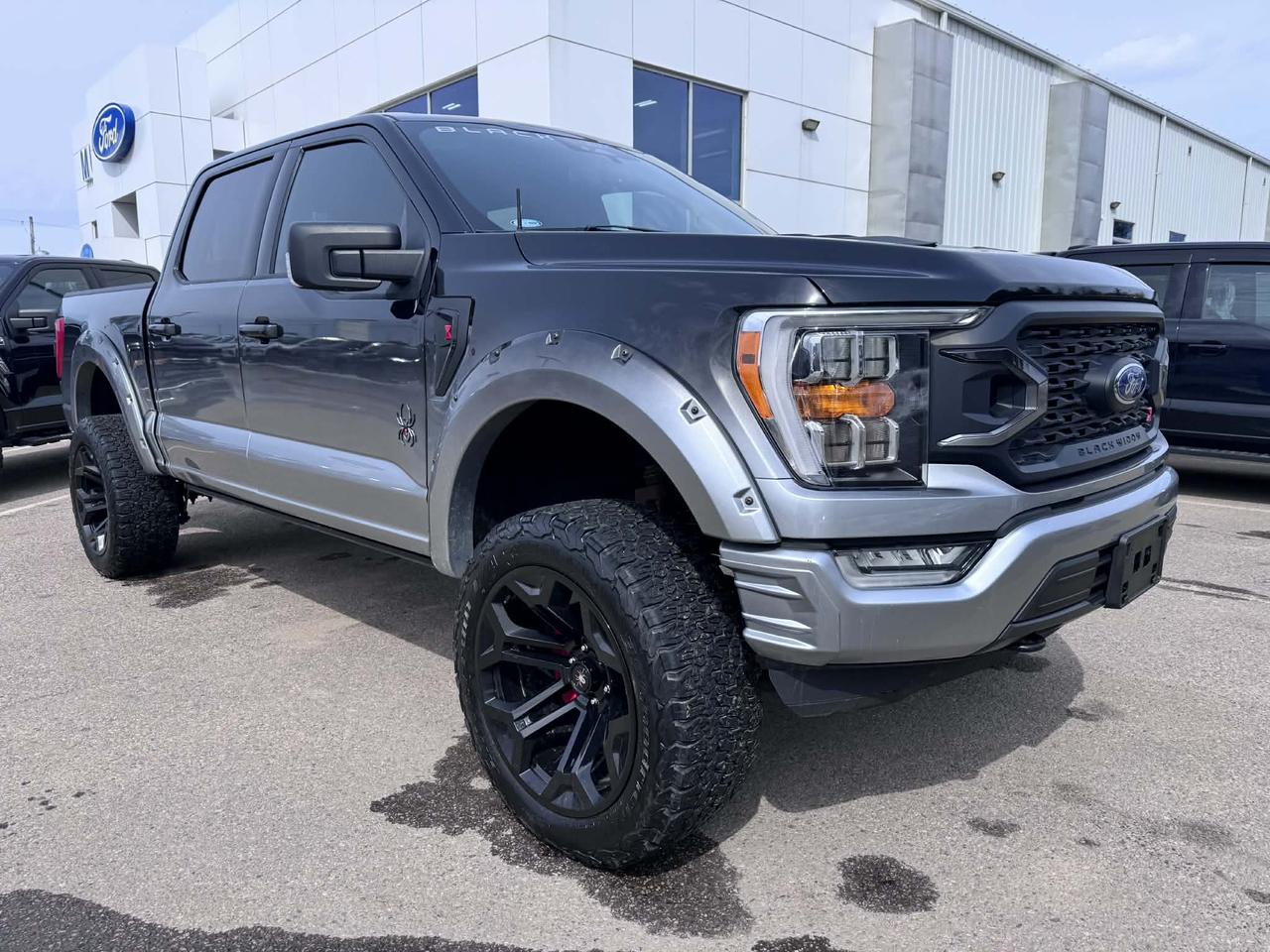 2022 Ford F-150 XLT Photo
