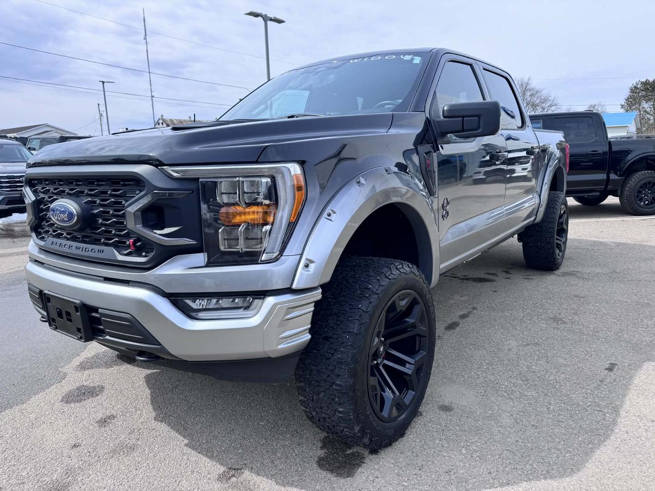 2022 Ford F-150 XLT Photo