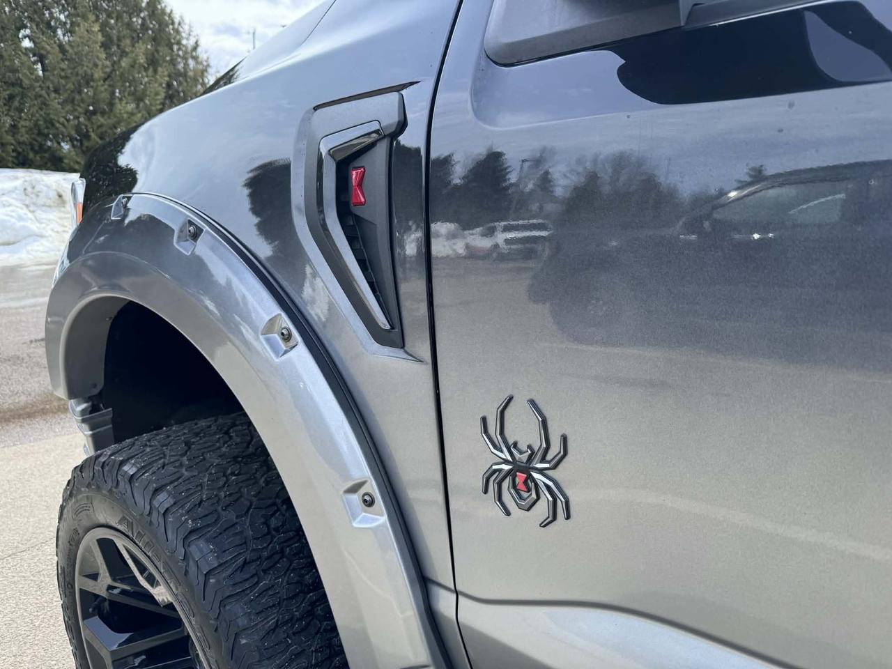 2022 Ford F-150 XLT Photo