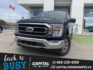 New 2022 Ford F-150 XLT for sale in Winnipeg, MB