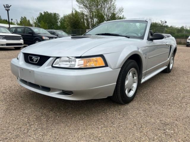 2000 Ford Mustang Convertible Leather Pony Package