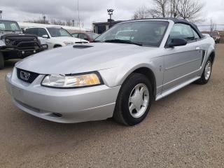 Used 2000 Ford Mustang Convertible Leather Pony Package for sale in Edmonton, AB