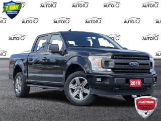 Used 2019 Ford F-150 XLT SPORT PACKAGE | NAVIGATION | REAR VIEW CAMERA for sale in Kitchener, ON