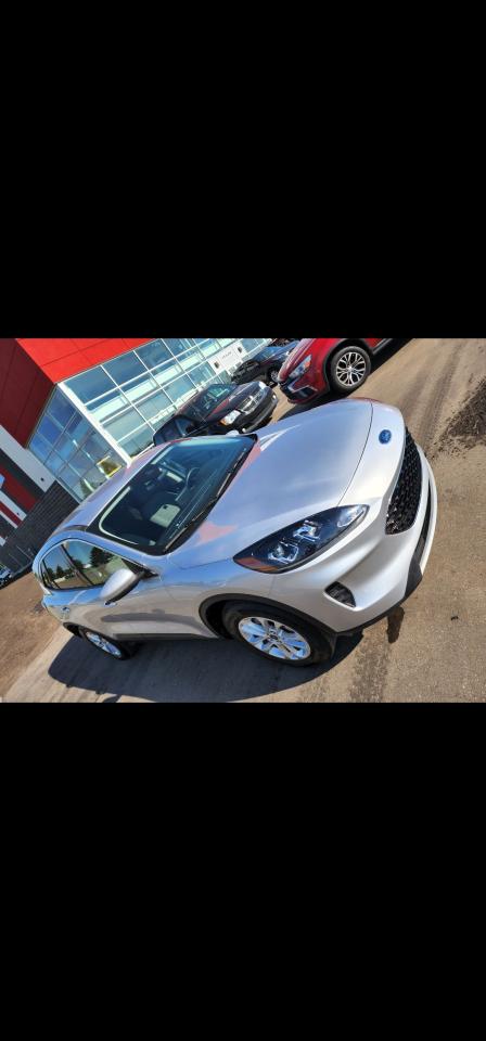 Used 2020 Ford Escape SE for sale in Edmonton, AB