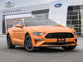 Used 2019 Ford Mustang EcoBoost for sale in Ottawa, ON