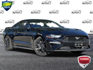 Used 2019 Ford Mustang EcoBoost ECOBOOST PERFORMANCE PKG | PERFORMANCE REAR WING | 19