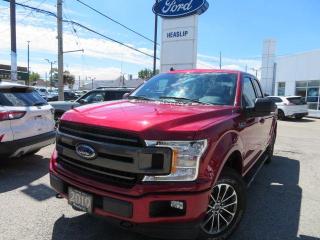 Used 2019 Ford F-150 XLT for sale in Hagersville, ON
