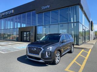 Used 2020 Hyundai PALISADE LUXURY for sale in Grand Falls-Windsor, NL