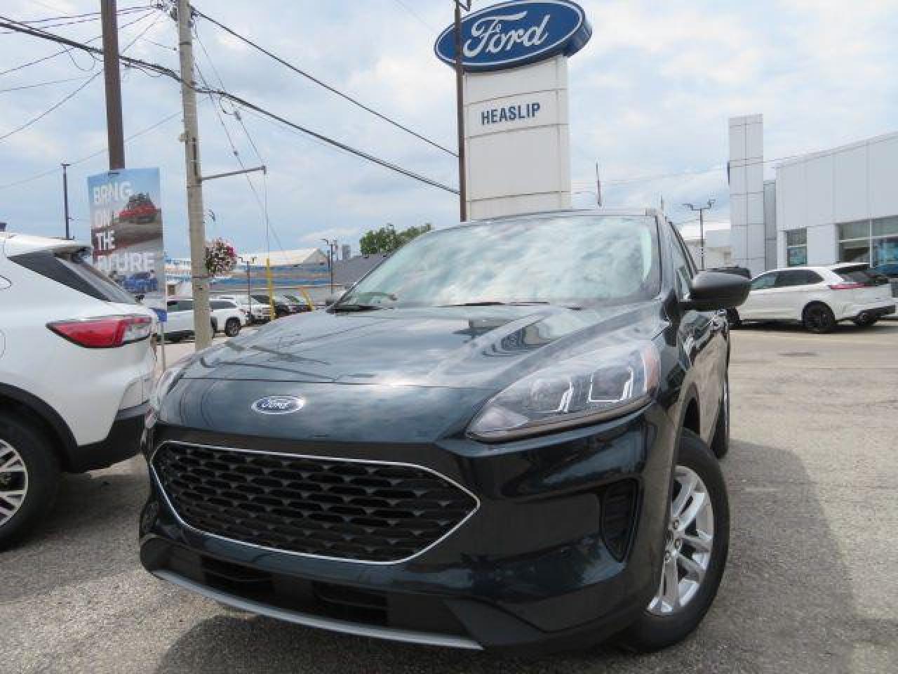 New 2022 Ford Escape SE for sale in Hagersville, ON