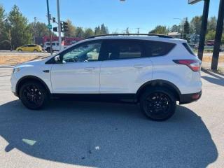 2017 Ford Escape 4WD 4dr SE - Photo #5