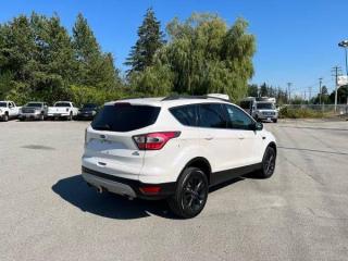 2017 Ford Escape 4WD 4dr SE - Photo #9