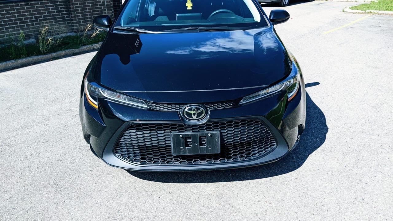 2020 Toyota Corolla LE Photo2