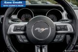 2015 Ford Mustang EcoBoost Premium Photo43