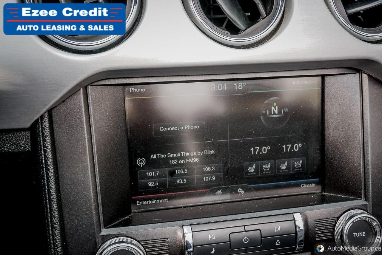 2015 Ford Mustang EcoBoost Premium Photo46