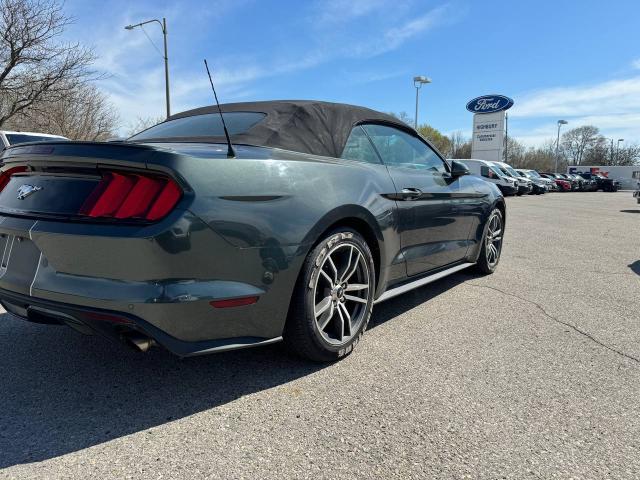 2015 Ford Mustang EcoBoost Premium Photo6