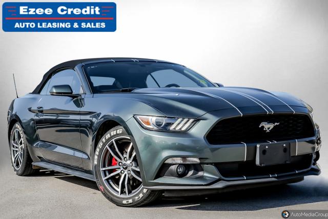 2015 Ford Mustang EcoBoost Premium Photo1