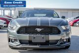 2015 Ford Mustang EcoBoost Premium Photo35