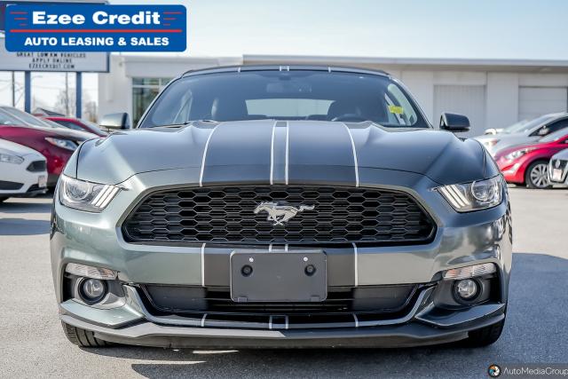 2015 Ford Mustang EcoBoost Premium Photo10