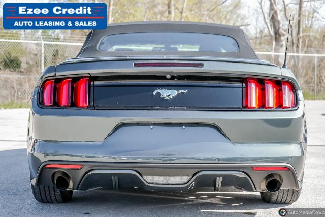 2015 Ford Mustang EcoBoost Premium Photo5