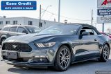 2015 Ford Mustang EcoBoost Premium Photo34