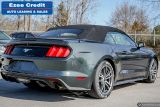 2015 Ford Mustang EcoBoost Premium Photo29