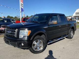 Used 2010 Ford F-150 XLT for sale in Dunnville, ON