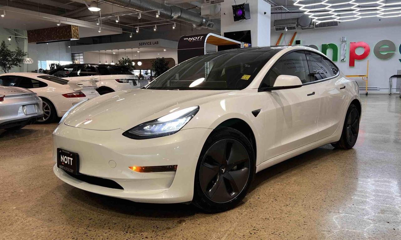 Used 2020 Tesla Model 3 STANDARD RANGE PLUS for sale in Winnipeg, MB