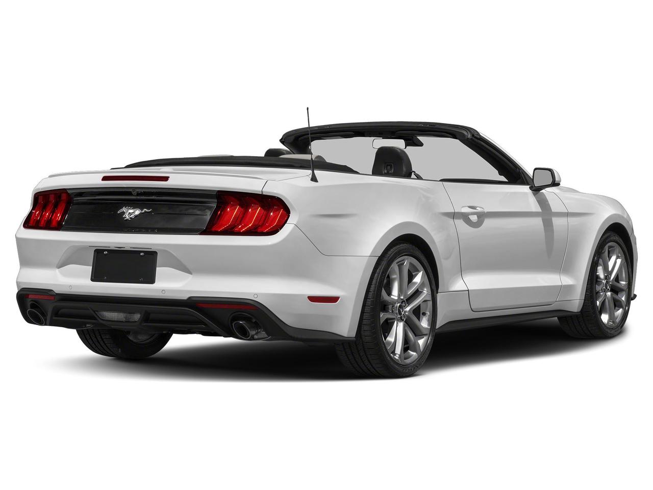 2022 Ford Mustang EcoBoost Premium Photo